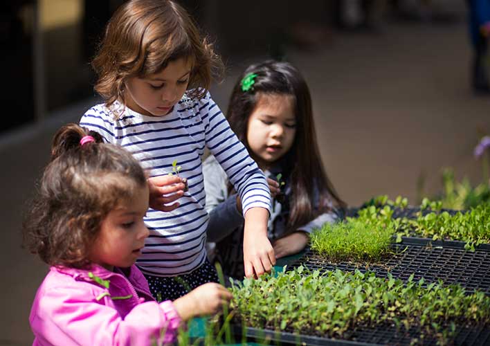Children planting vegetables